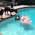 VIDEO: Mira la mala jugada que le hace este perro a esta chica
