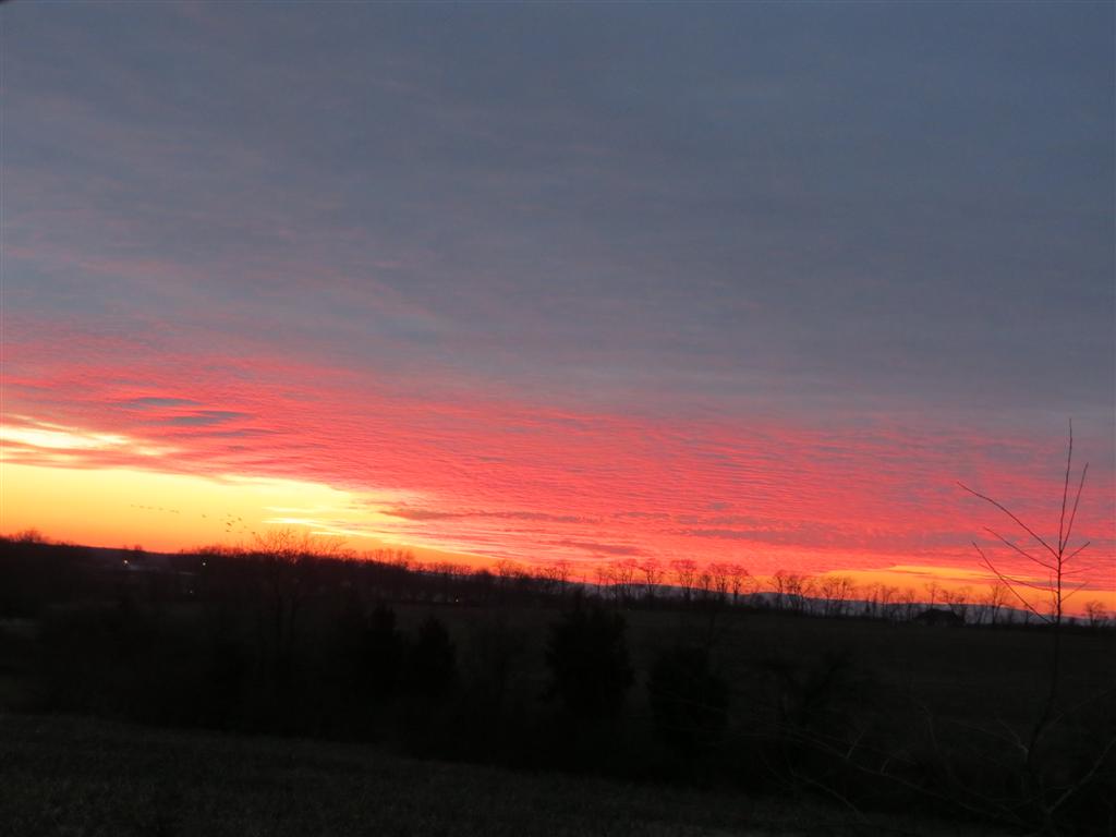 Viewing nature with Eileen: Christmas sunset