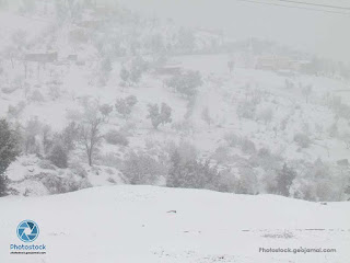 Snow in Ketama Morocco picture and videos