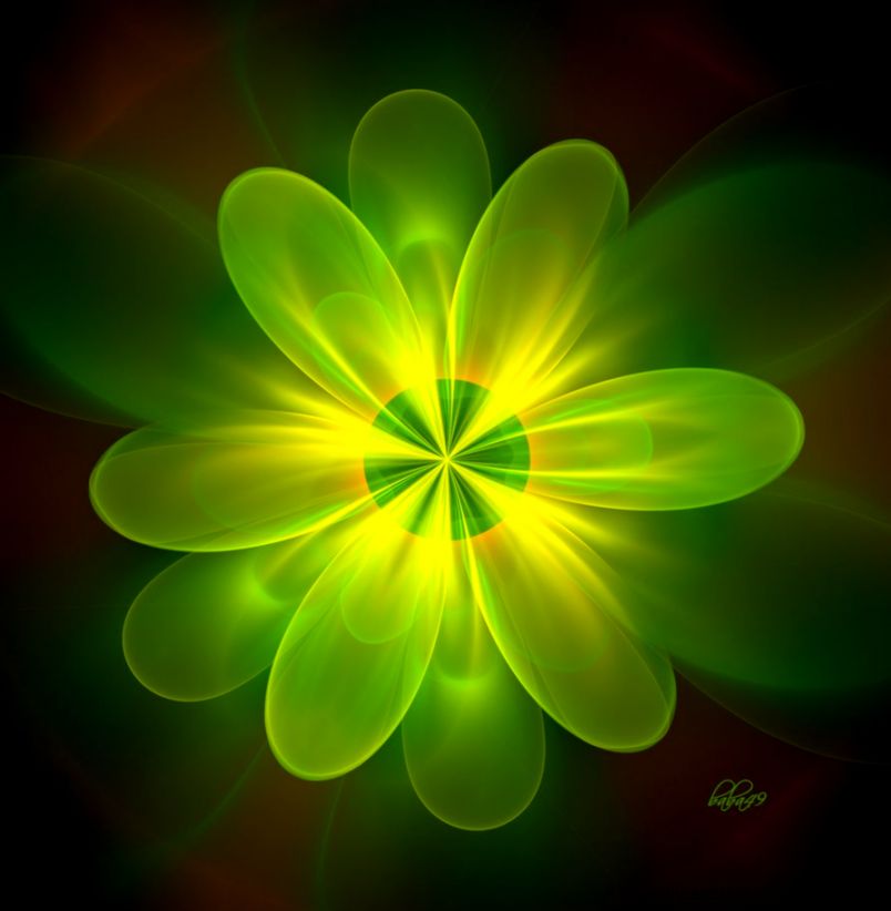 Green Flowers   Flower Image Directory   Flower Image Directory