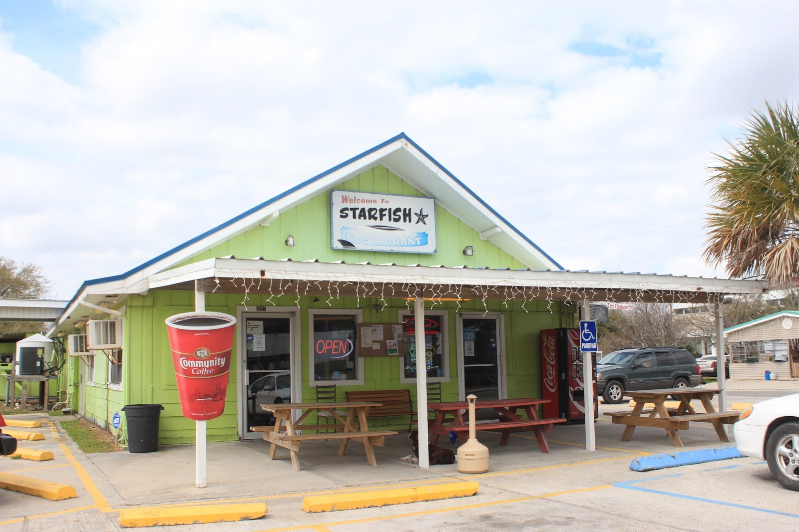 On The Meandering Road March 7, 2016 Grand Isle, LA