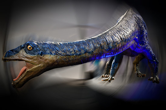 EL LIBRO DE LOS DINOSAURIOS Adeopapposaurus