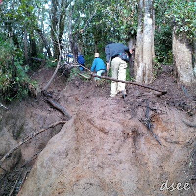 Pendakian Gunung Cikuray Via Pemancar Kecil Kecil Cabe Rawit Adventure Senja