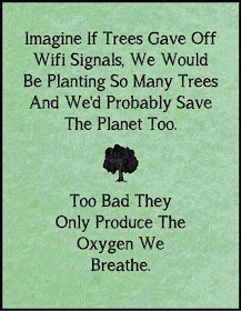 Imagine if trees gave off wifi signals, we would be planting so many trees and we'd probably save the planet too.  Too bad they only produce the oxygen we breathe.