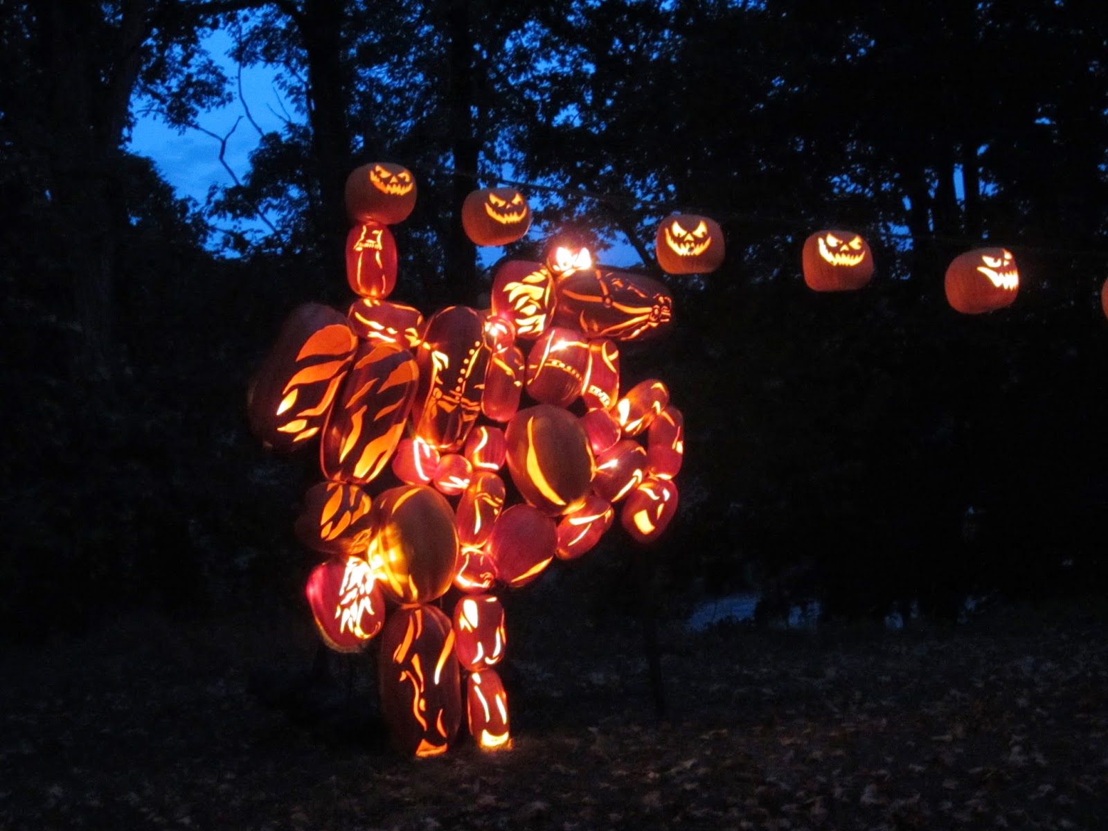 TBT Hudson Valley Pumpkin Blaze