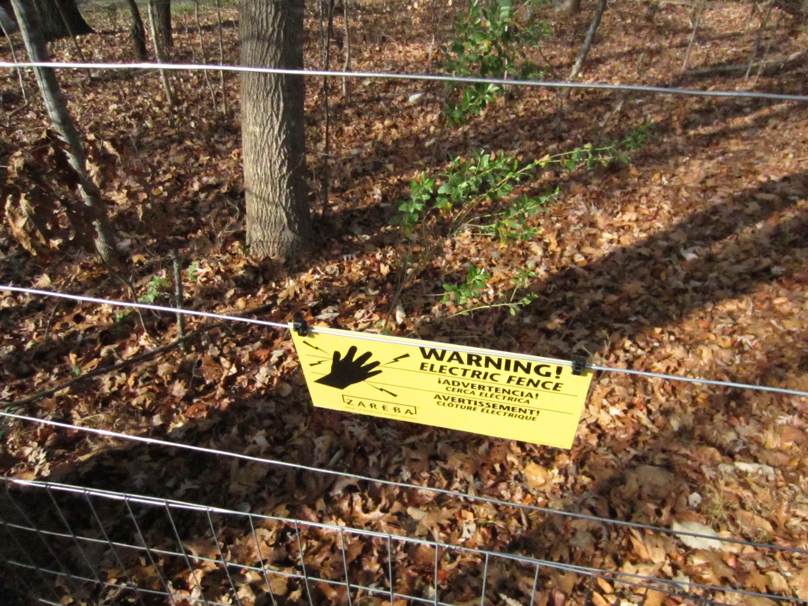 From mind to machine: DIY Electric Predator Fence