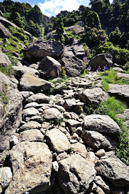Photo of BF or BFF – Test the love with the Triund trek! 11/19 by Nerdy Adventuress