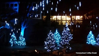 A Franklin Park Conservatory PhotoJournal on Homeschool Coffee Break @ kympossibleblog.blogspot.com