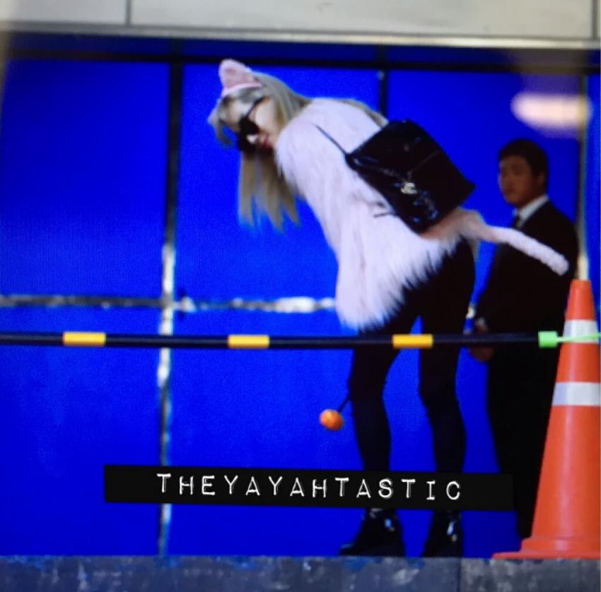 오늘 태연 출근길 (냥이코스프레) | 인스티즈