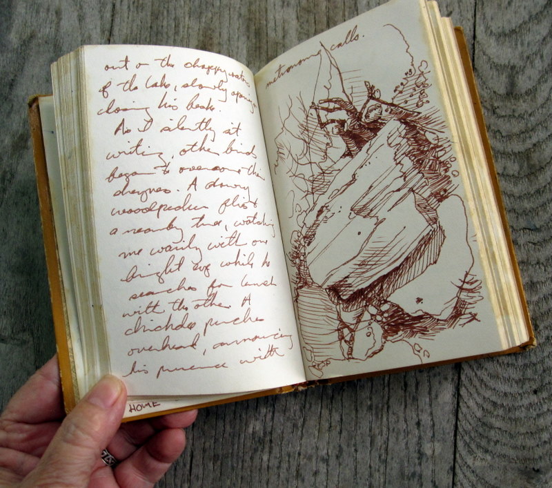 Artists' Journal How do you use your journal?