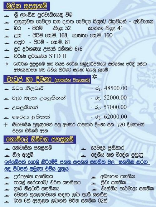 vacancies for direct entry regular naval force medical dental navy medical jobs