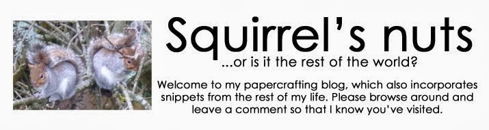 Squirrel's nuts