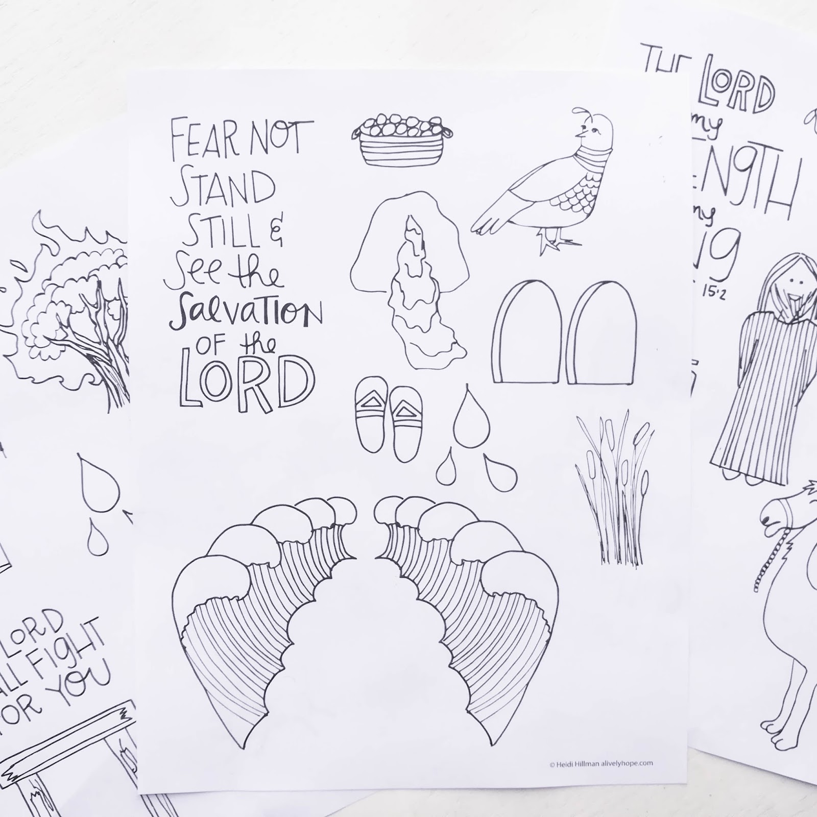 A Lively Hope: Exodus and Leviticus Scripture Doodles (free printable!)