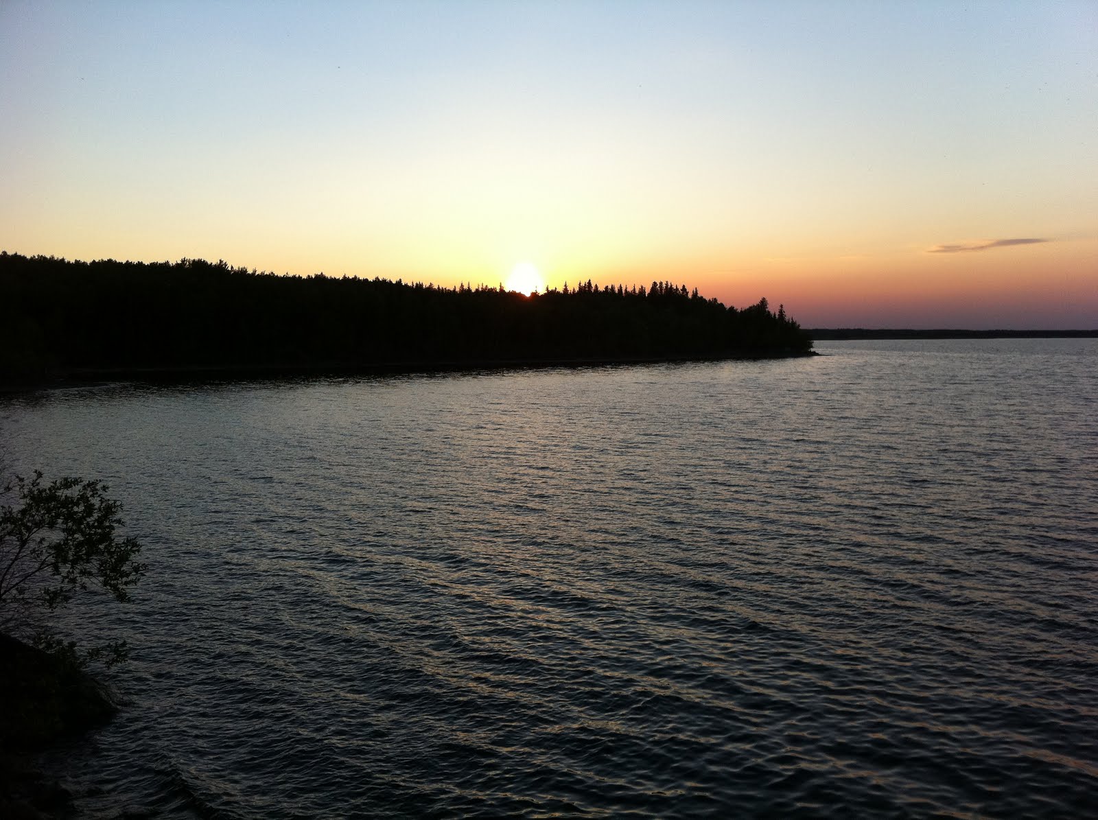 shaking the links IlealaCrosse