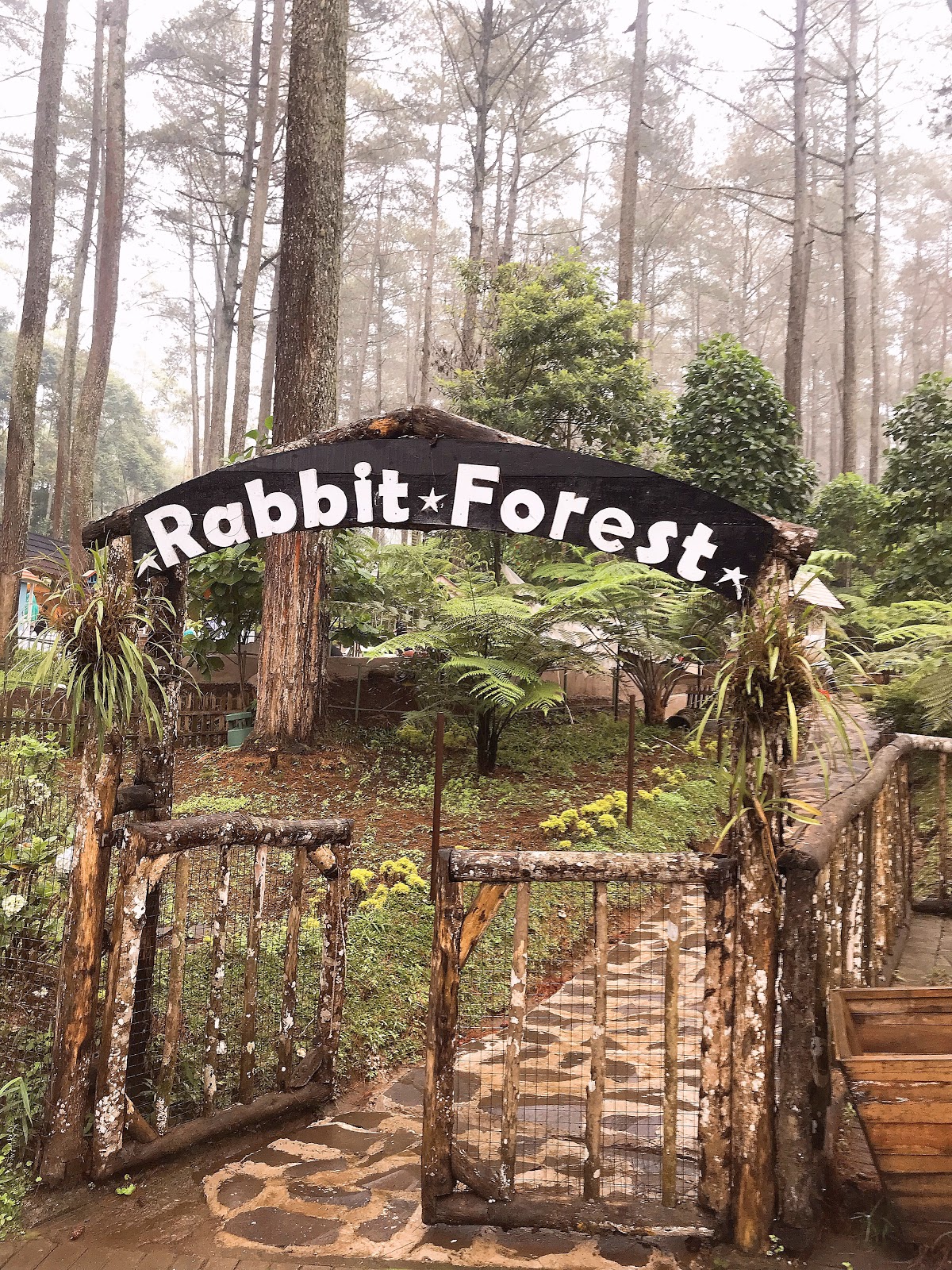 TEMPAT WISATA ORCHID FOREST LEMBANG, HUTAN CANTIK DI CIKOLE (LEMBANG)