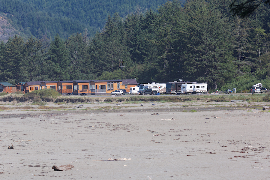 Focused On Fauna And A Little Flora Neah Bay Washington