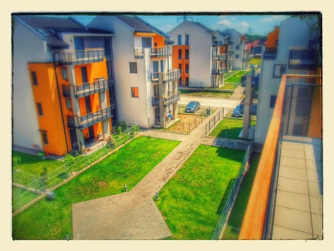 Real Estate Timisoara