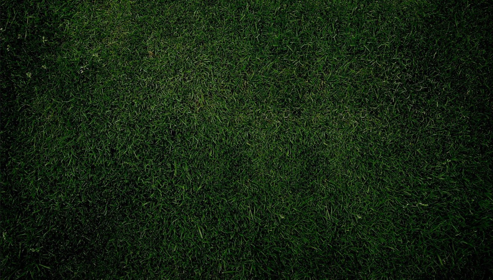 Greengrass Wallpaper 1920 X 1080