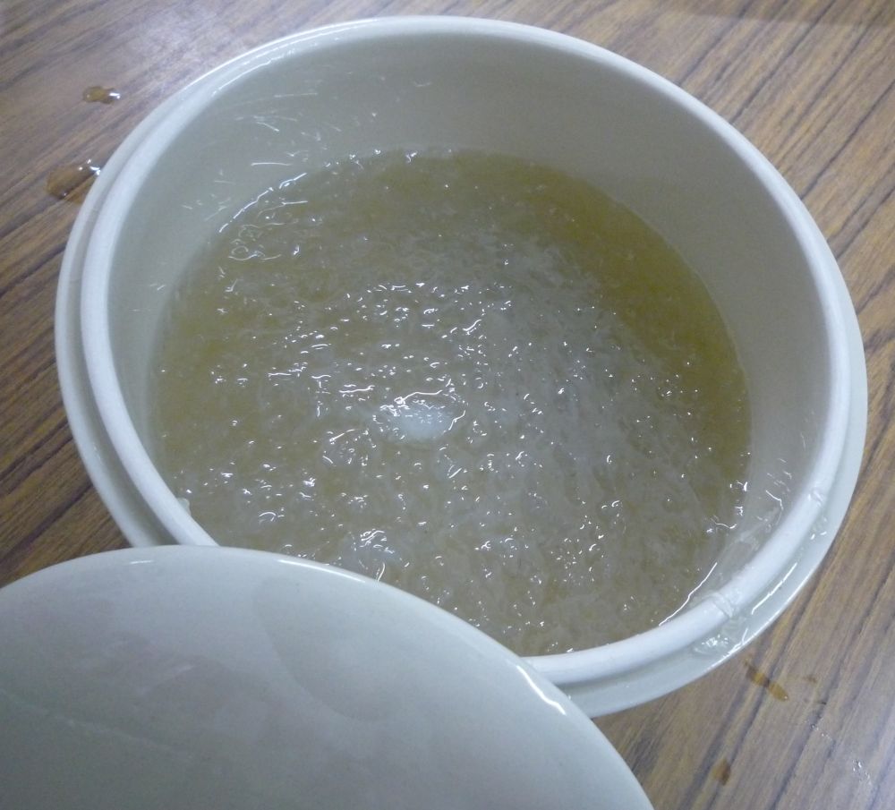 foodbin Bird's nest Soup (Yan Wo)