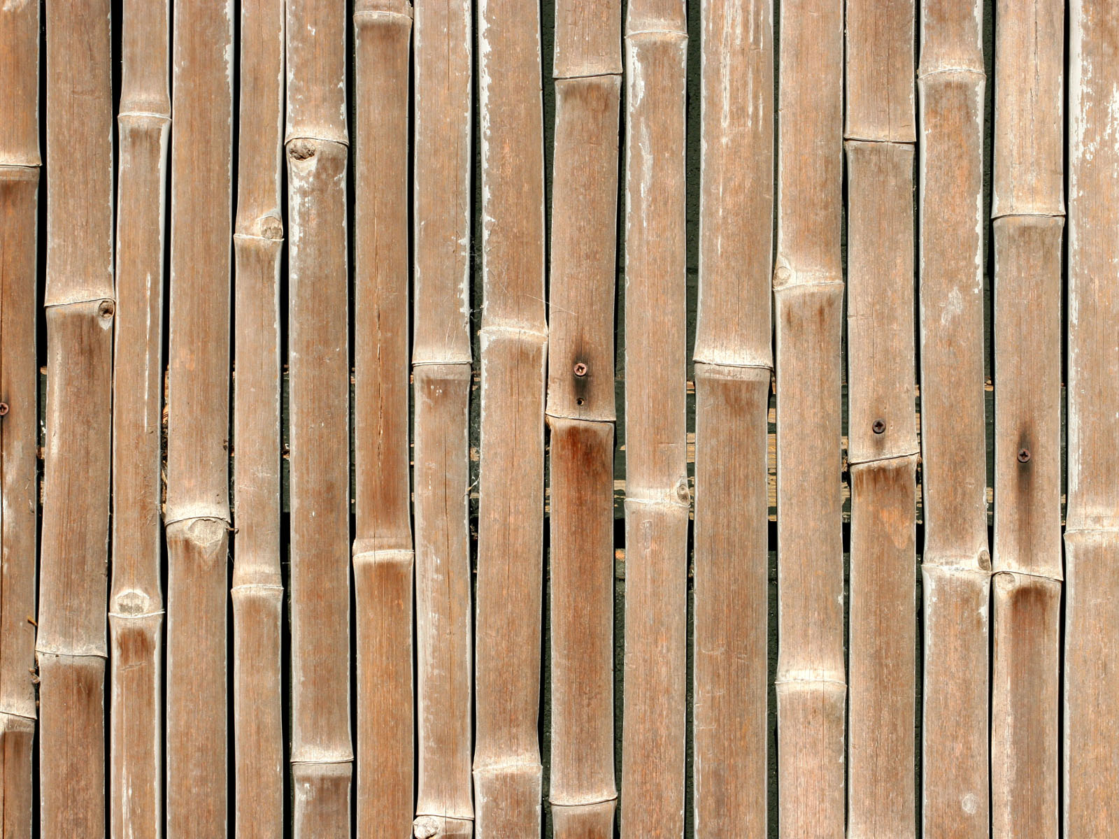wallpaper: Bamboo Wall Wallpapers