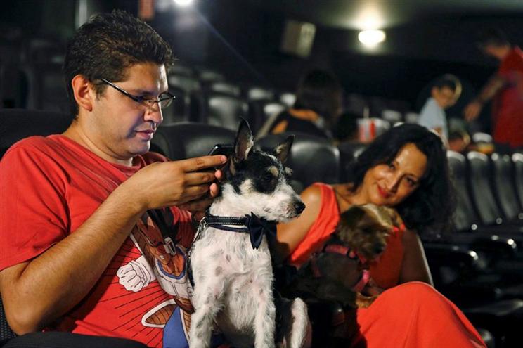 Cães no cinema