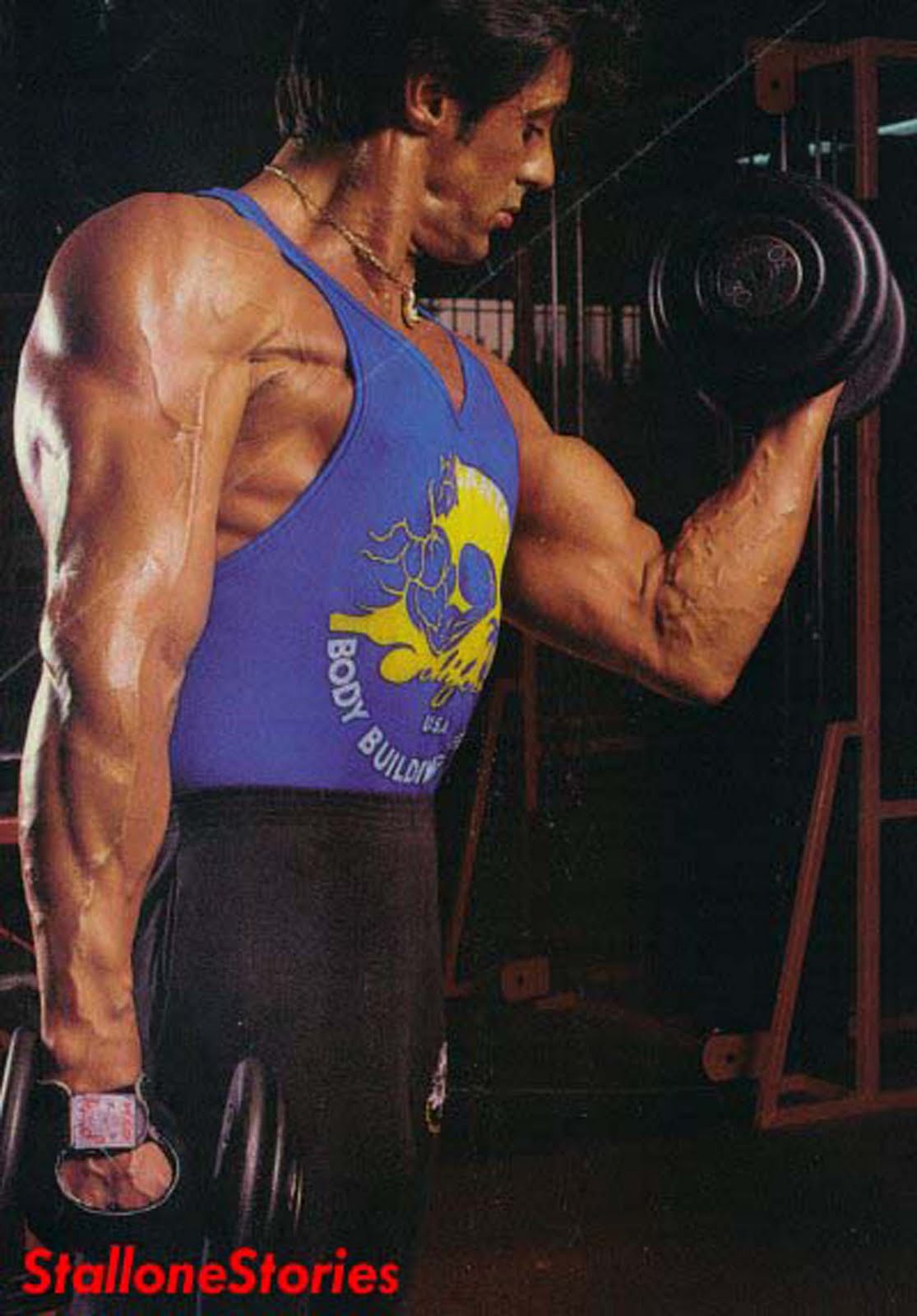 Тренировки сильвестра сталлоне. Сильвестр Сталлоне. Сильвестр Сталлоне в молодости бодибилдинг. Сильвестр Сталлоне тренировки в молодости. Сильвестр Сталлоне бодибилдинг тренировки.