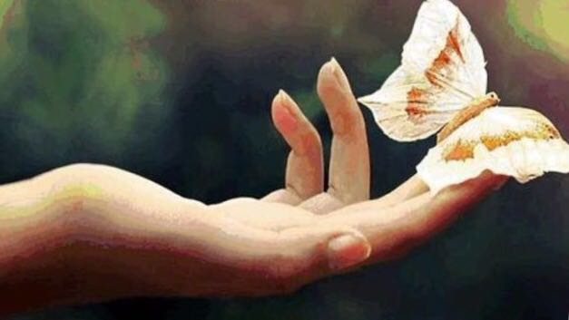 殺生的定義 殺生的定義