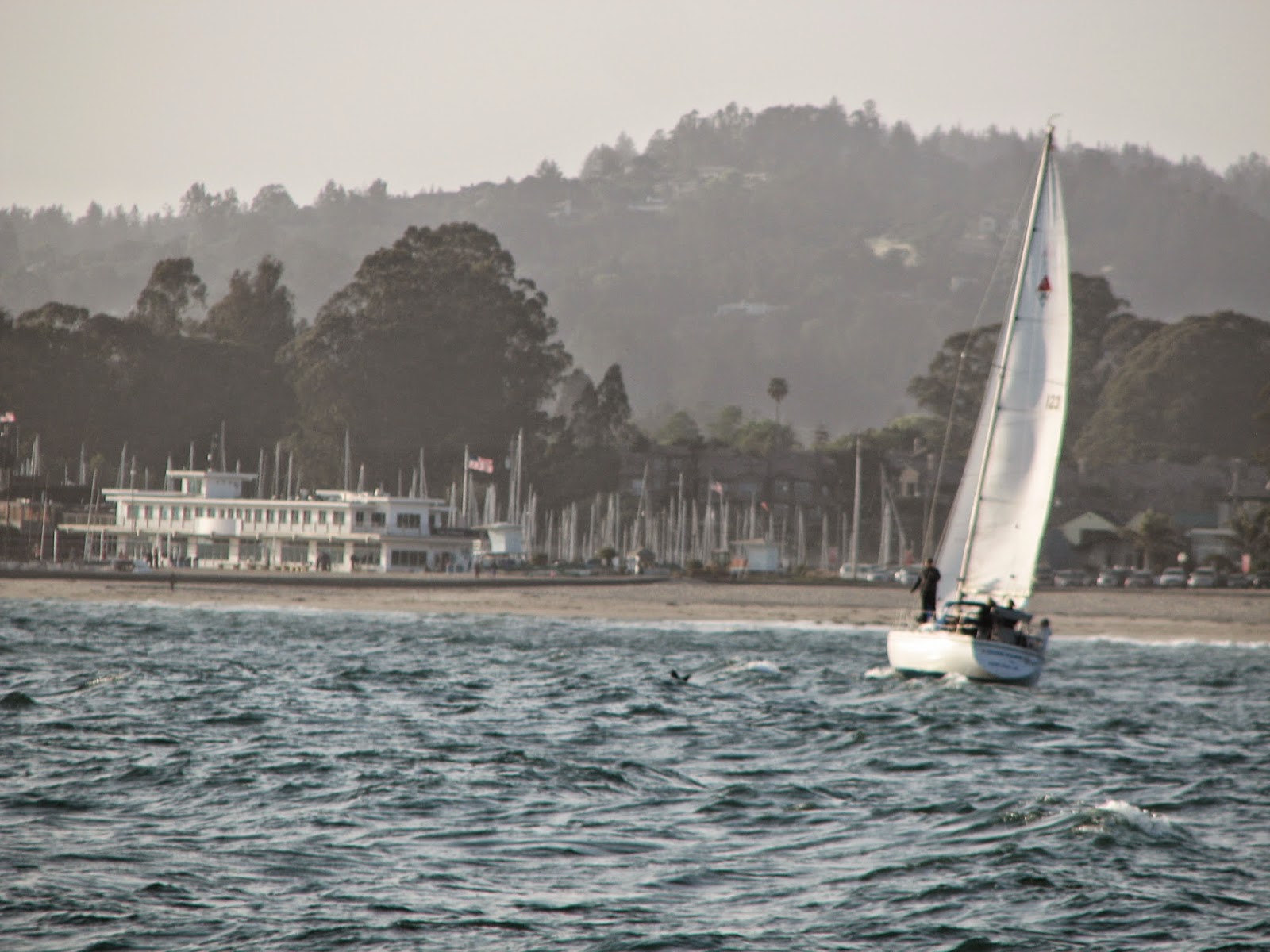 SAILING SANTA CRUZ TUESDAY NIGHT SAILING Tuesday May 5, 2015