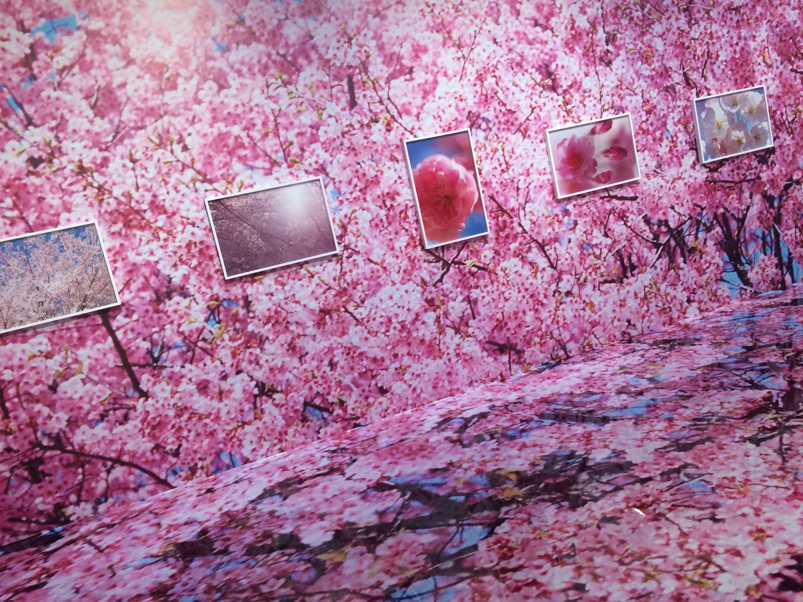 ブライダルyasunaga 香川 蜷川実花展
