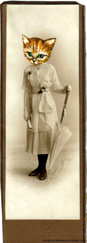 Anthropomorphic Art Kitty Cat Art Mixed Media by dadadreams