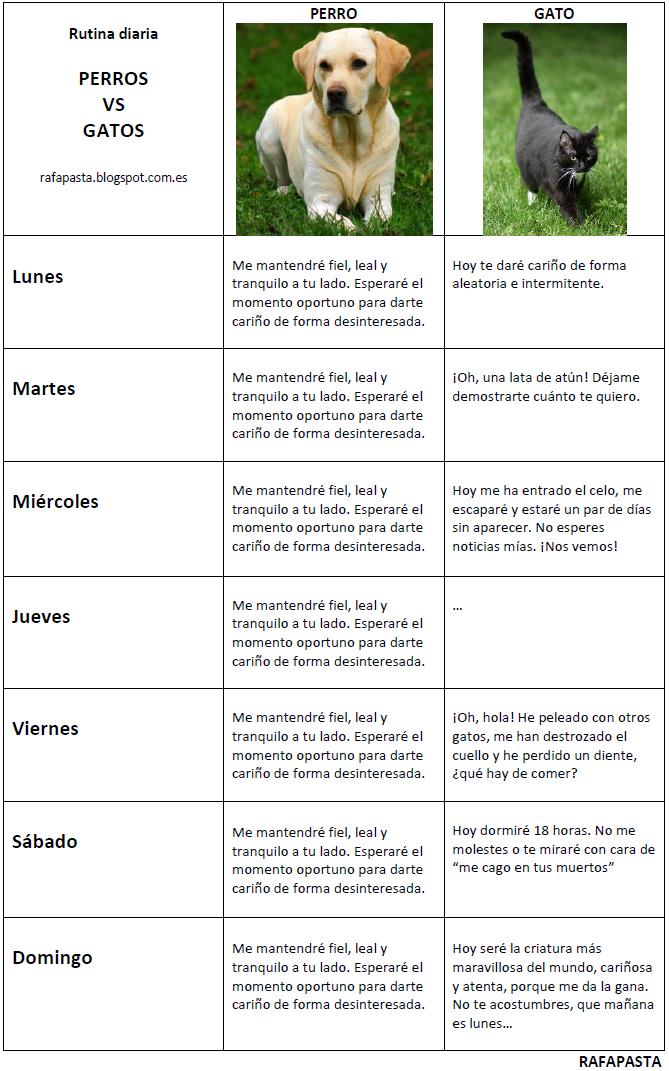 Rafapasta Perros VS Gatos