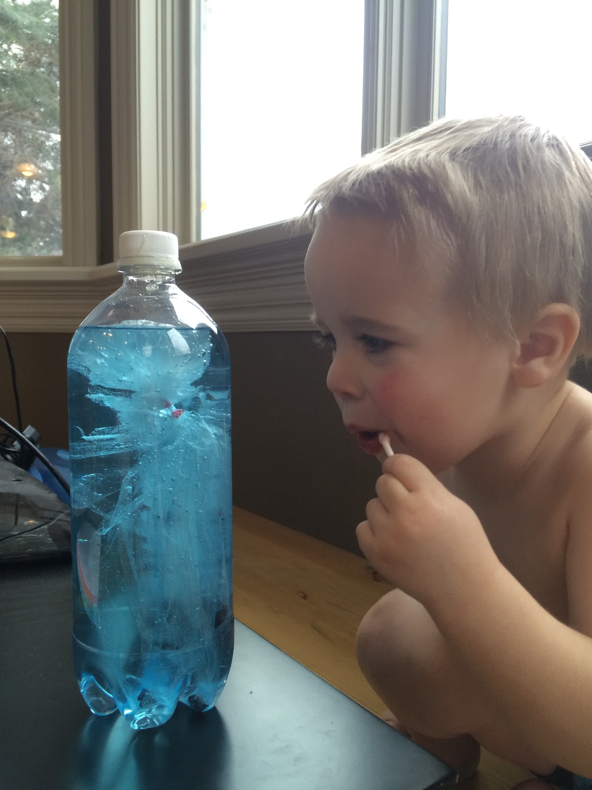 Letter J: Letter J Jellyfish Hunt, Jelly Fish Craft, Pet Jelly Fish