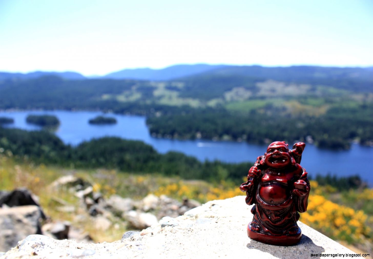 Mountain Lake Forrest Gump id 64141 – BUZZERG