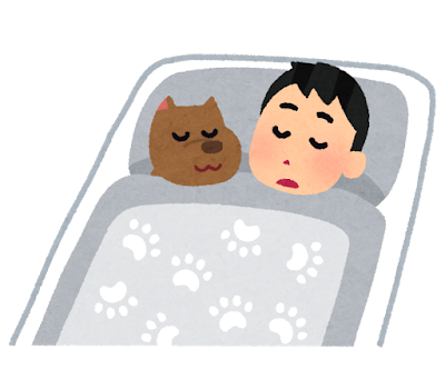 犬と寝る人のイラスト