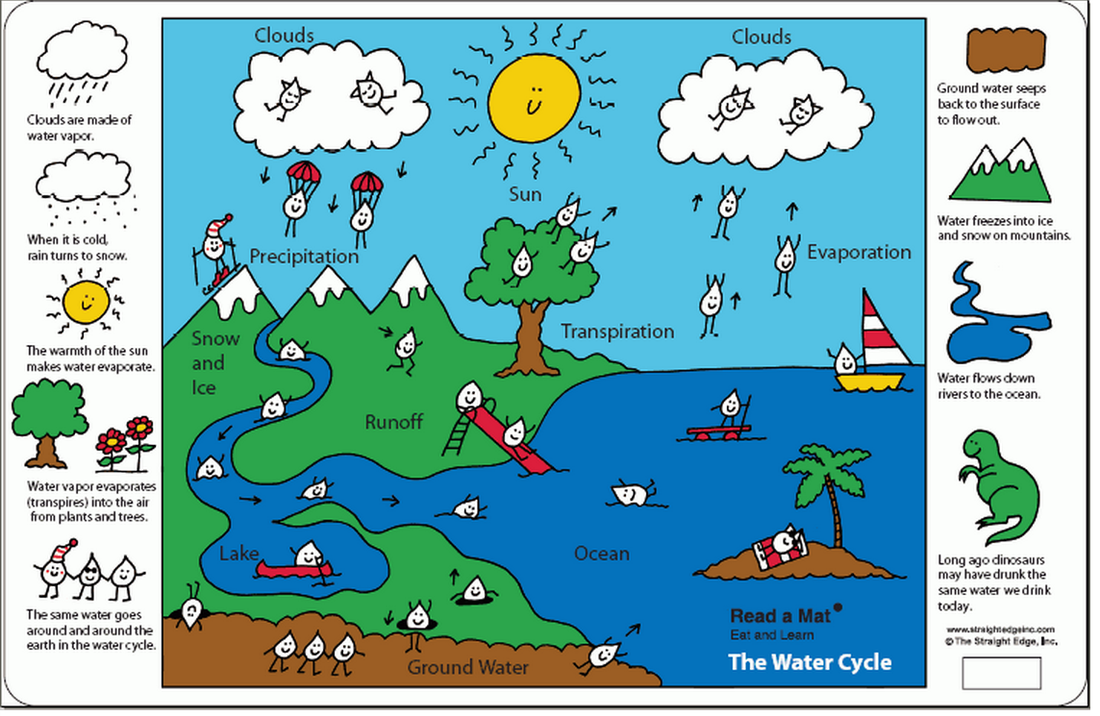 Forms 5 2019: Water Cycle Review