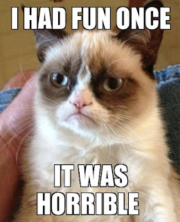 Cat Memes Photos Cat Memes Photos