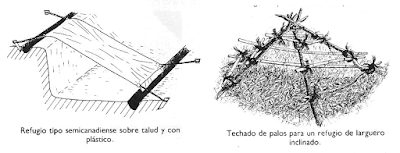 "Construir un refugio4"