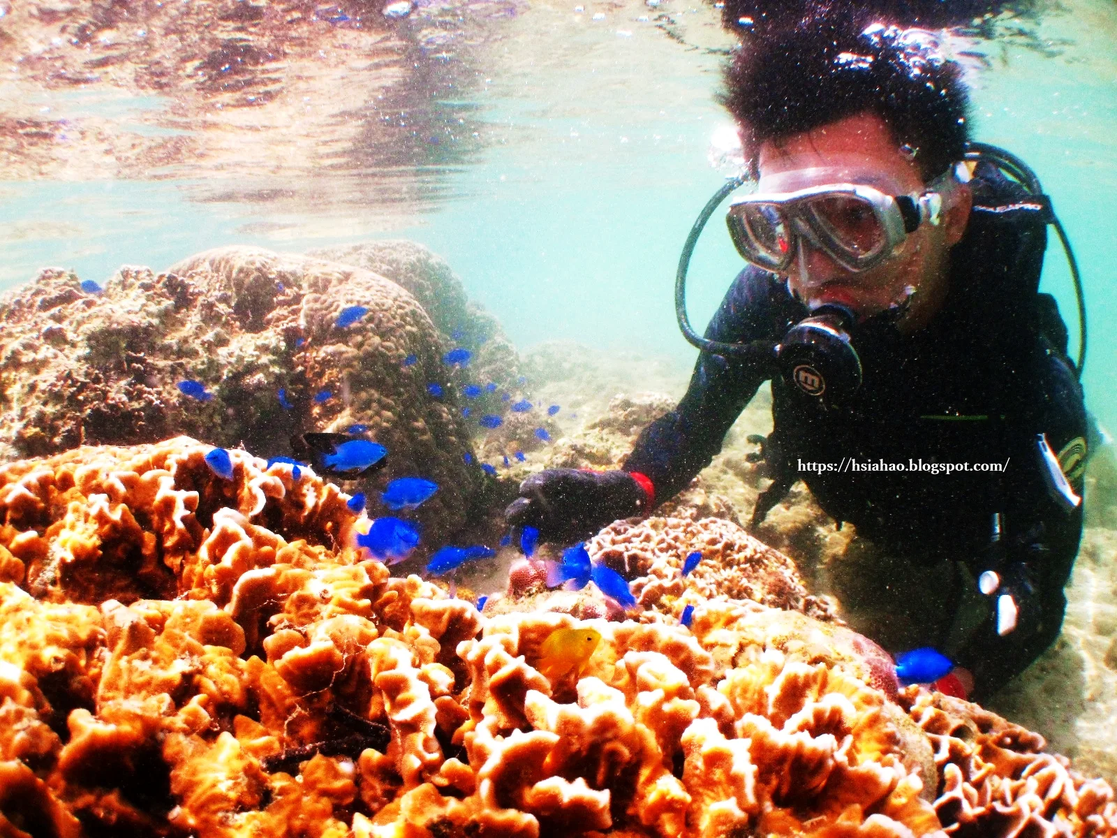 沖繩-推薦-景點-真榮田岬-青之洞窟-真榮田岬潛水-真榮田岬浮潛-青之洞窟潛水-青之洞窟浮潛-青の洞窟-自由行-旅遊-Okinawa-diving-snorkeling-maeda-cape-blue-cave