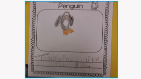 Who's Who and Who's New: Polar Fun In Kindergarten