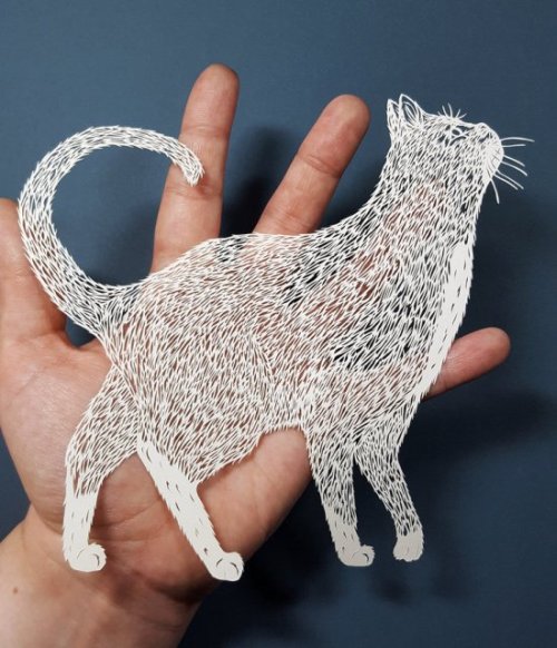 Pippa Dyrlaga arte papeis cortados ilustrações animais natureza espaço negativo
