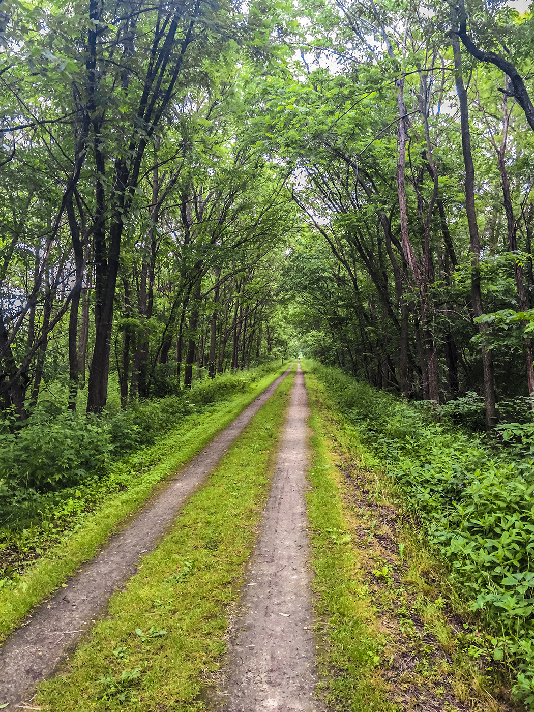 Along the Great River State Bicycle Trail in Trempealeau County WI