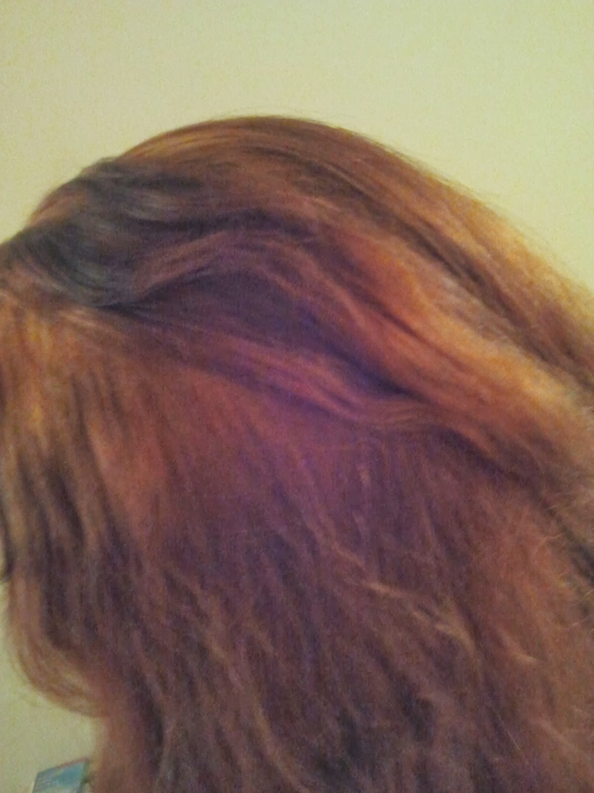 The Desert Gypsy Review Time! John Frieda Precision Foam Color 3VR