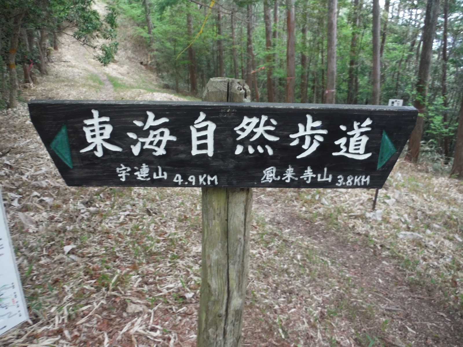 A Rough Guide To Walking The Tokai Shizen Hodo A Rough Guide To Walking The Tokai Nature Trail