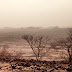 GREAT GREEN WALL An African partnership to tackle desertification and land degradation