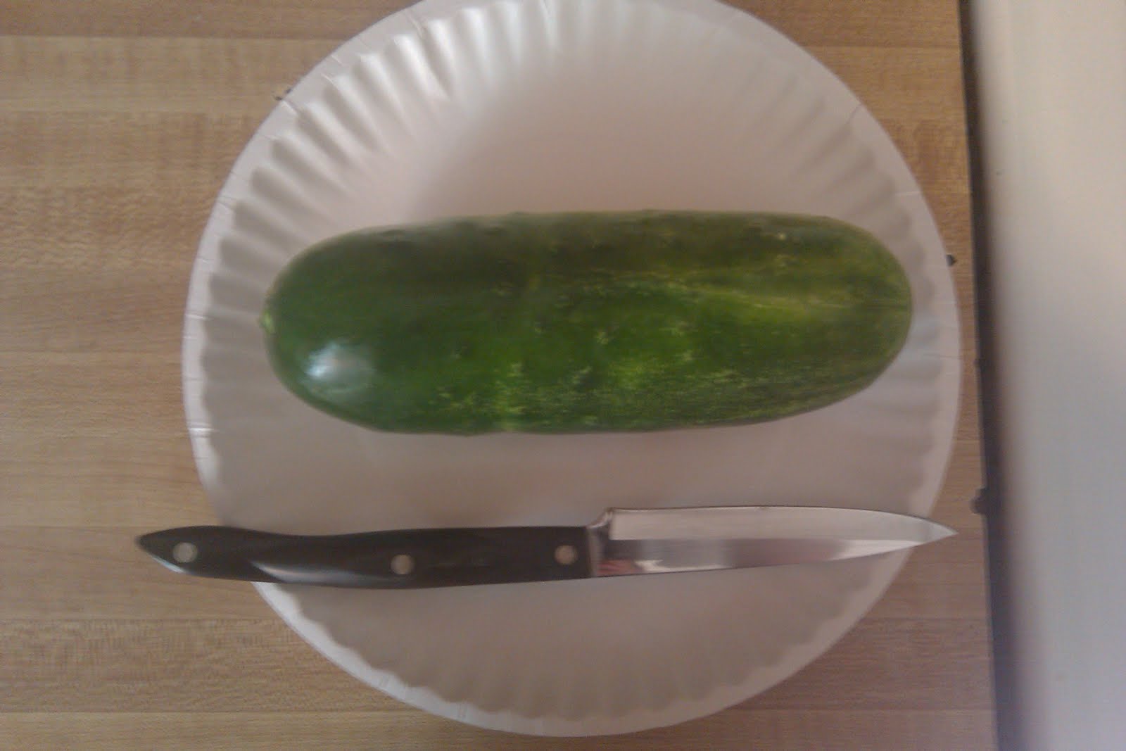 Ramblings of a Redneck Mommy Sweet Pickle Relish