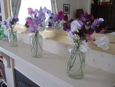 Repeating arrangments of Pink, purple and white sweet peas in a row on a mantelpiece.