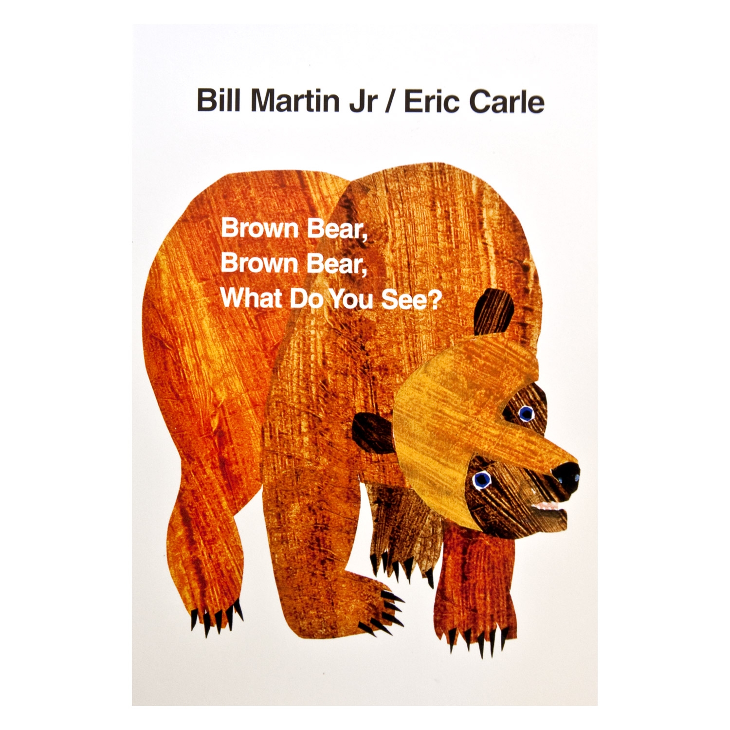 Biblioteca Col·legi CLARET de Barcelona ContaConte Brown bear