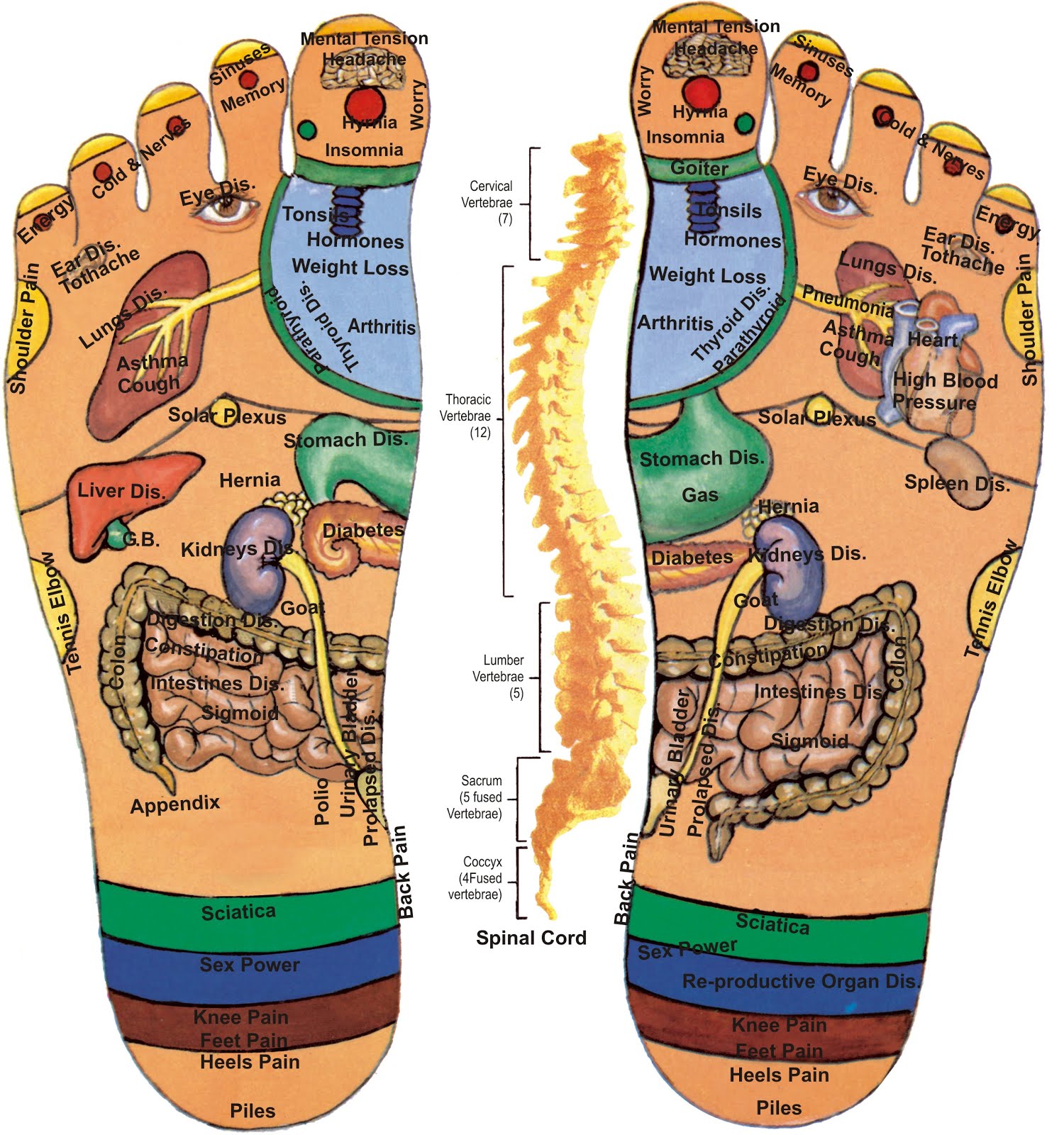 Reflexology