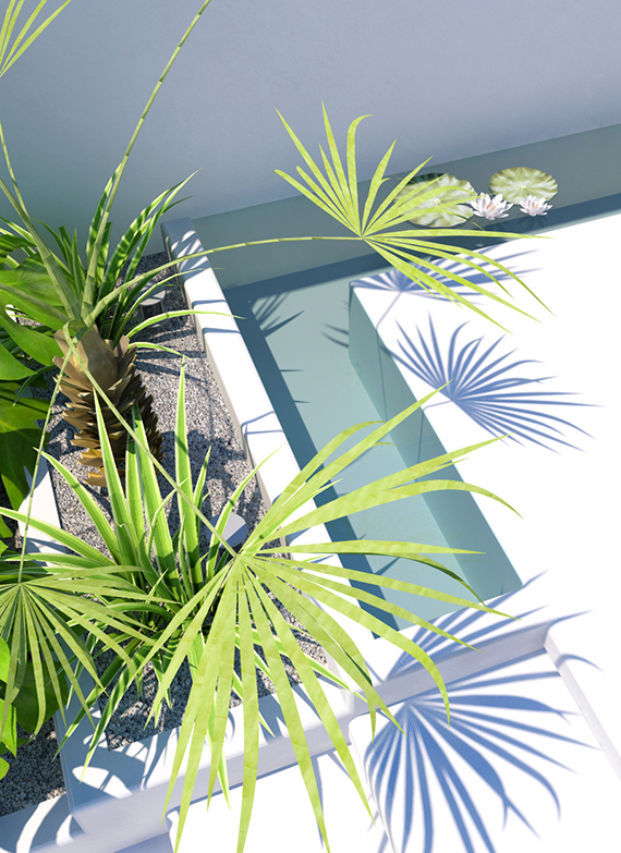 Tropical backyard | 3d visualisation by Eleni Psyllaki