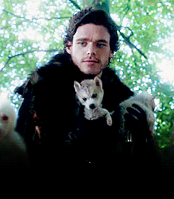 Gif coup de coeur  - Page 16 Richard_madden-sexy_gif_wolves_1